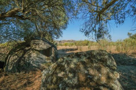 2 Plots, Barrocal, Monsaraz, Évora, Alentejo