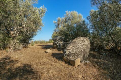 2 Plots, Barrocal, Monsaraz, Évora, Alentejo