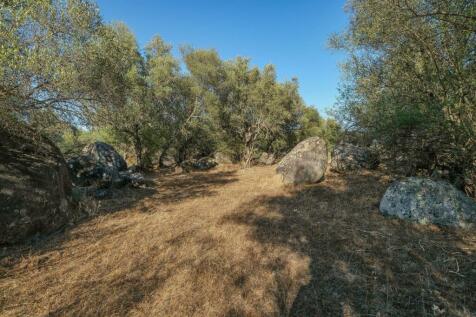 2 Plots, Barrocal, Monsaraz, Évora, Alentejo