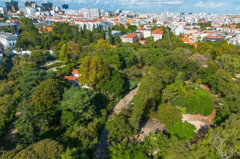 T3 Penthouse, Rooftop Terrace, Views, Lapa Estrela