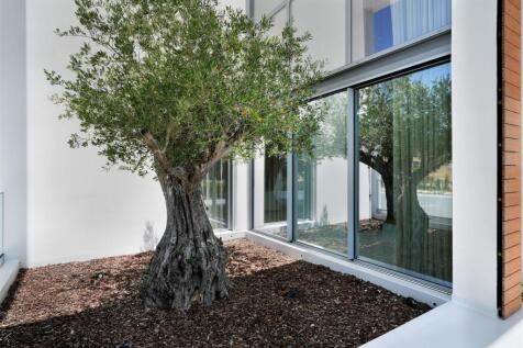 Property Image 81