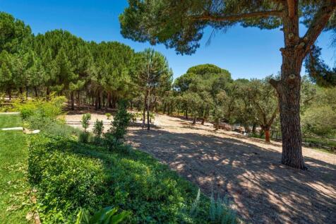 Property Image 53