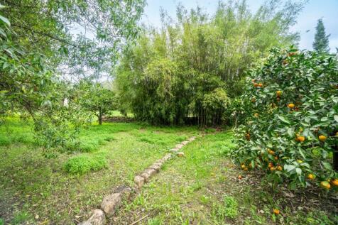 Property Image 49