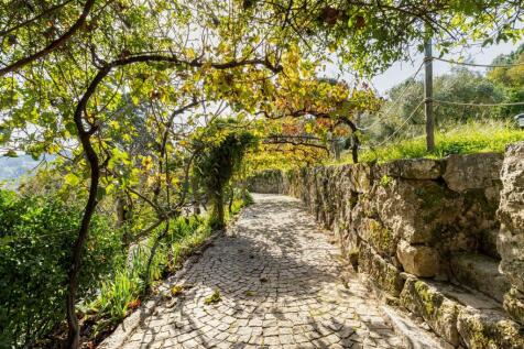 Property Image 65