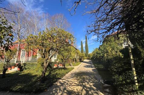 Property Image 45