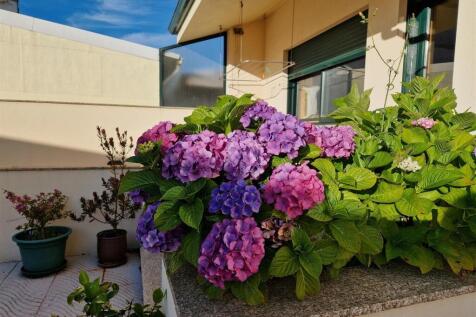 Property Image 81