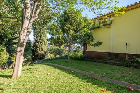 Property Image 59