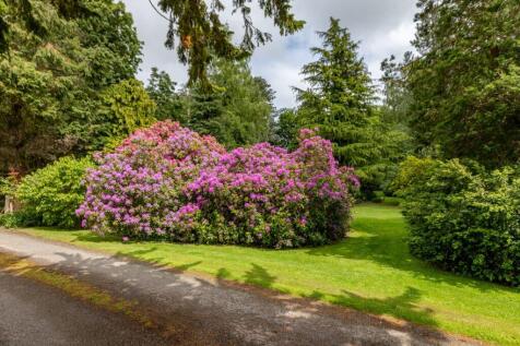 Property Image 30