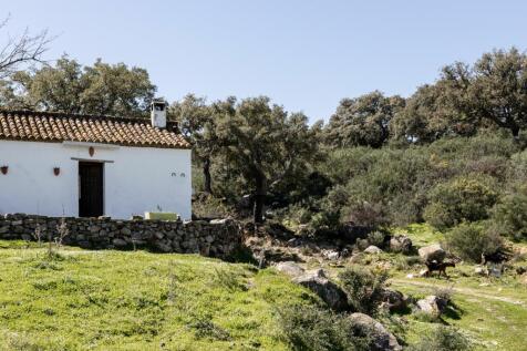 Property Image 56
