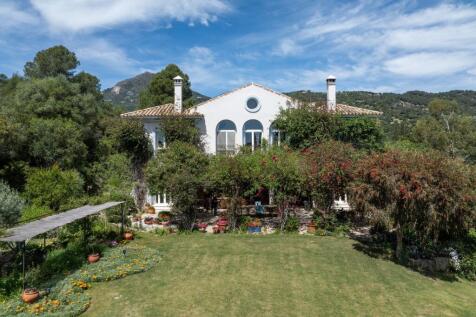 Property Image 42