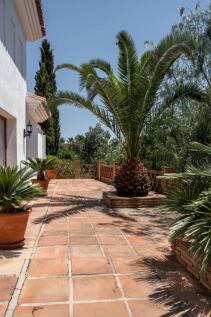 Property Image 45