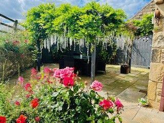 Rear patio 