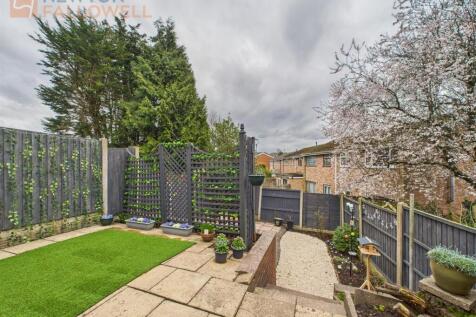 garden 3.jpg