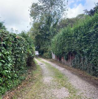 lane 2.jpg