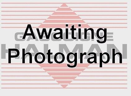 Main Image (Main)