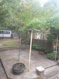Garden 2.jpg
