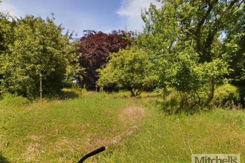 Orchard