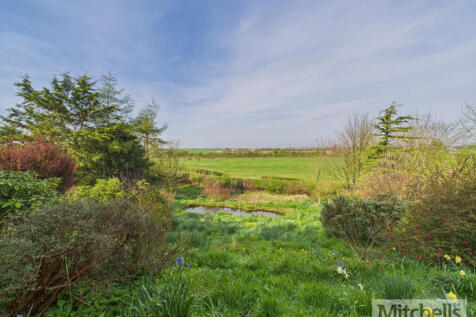 View from Garden
