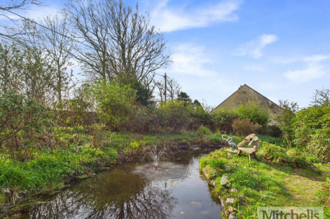 Pond and Garden
