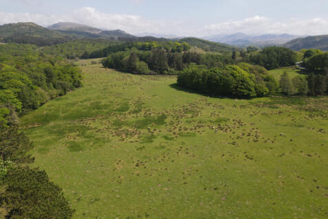 Approx. 29.7 Acres (12 Hectares) of Meadow and Pa