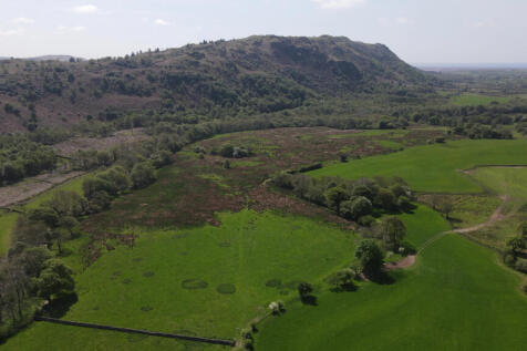 Approx. 81.58 Acres (33ha) of Agricultural Land a