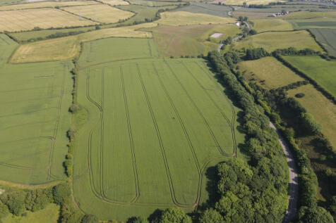 LOT 1