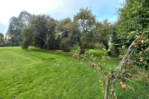 Orchard