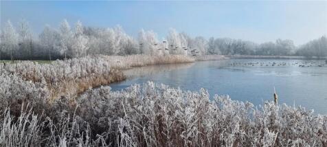 Picture No. 28