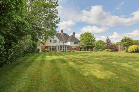 Property Image 41