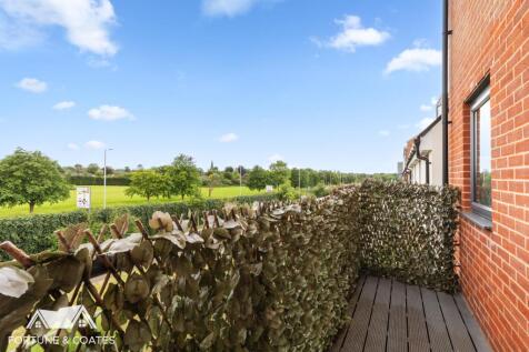 BirchWalk_5.jpg