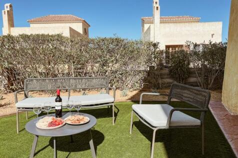 Back garden