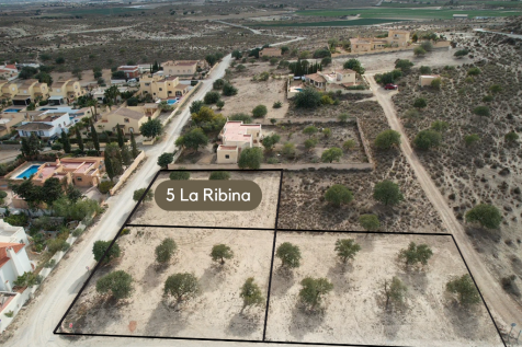 La Ribina plots