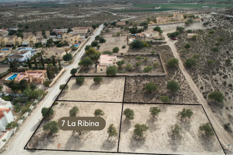 La Ribina plots