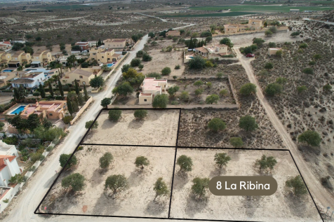 La Ribina plots
