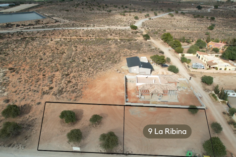 La Ribina plots