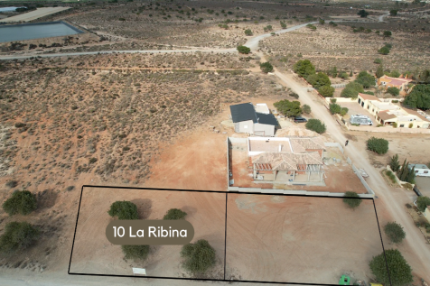 La Ribina plots
