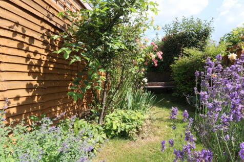 Garden 1.JPG