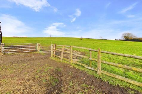 Field