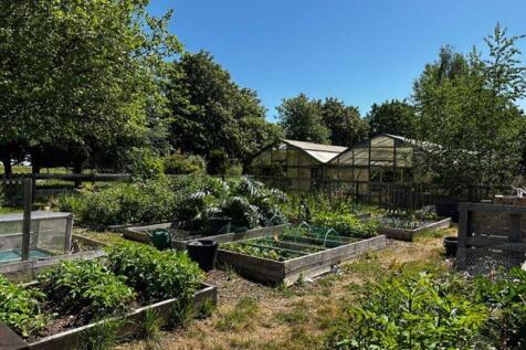 Veg plot