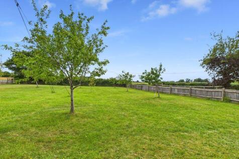 Orchard