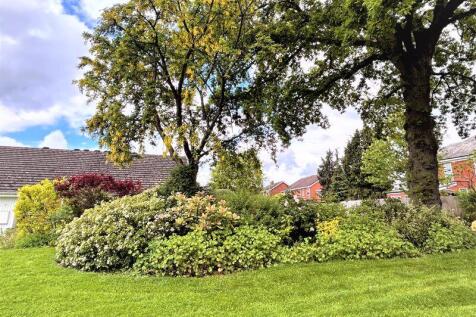 Communal Garden