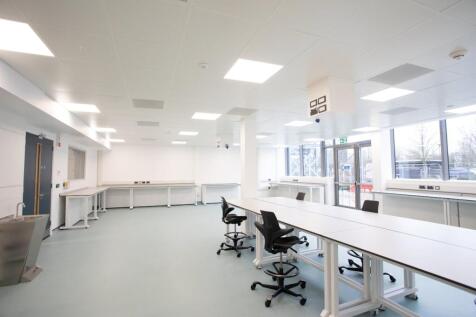 Lab