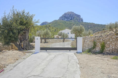 Property Image 42