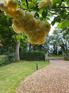 thumbnail_image003.jpg
