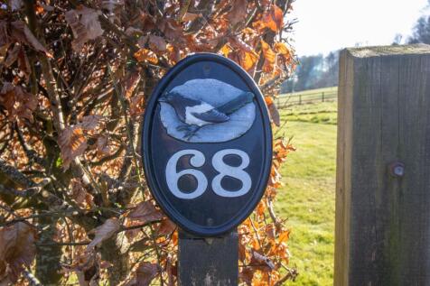 20250304-IMG_2933