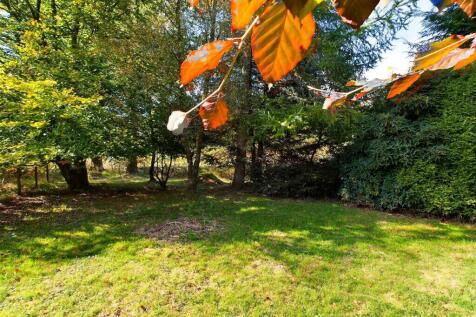 Property Image 35