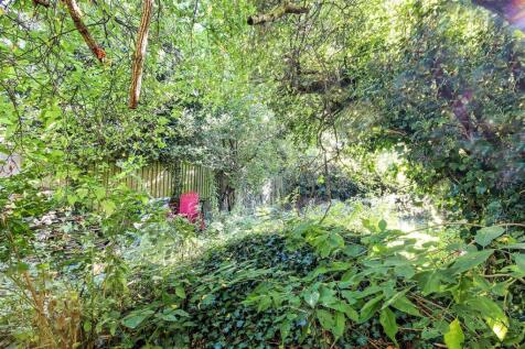 Garden.jpg