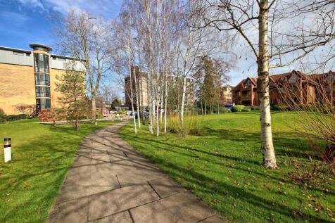 Pathway.jpg