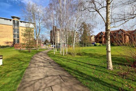 Pathway.jpg