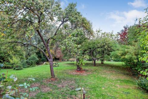 Communal garden 1.jpg